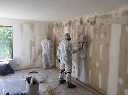 Best Real Estate Mold Inspection  in Mckinley, PA